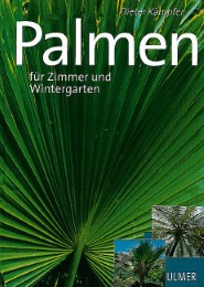 Schöne Palmen für Zimmer und Wintergarten