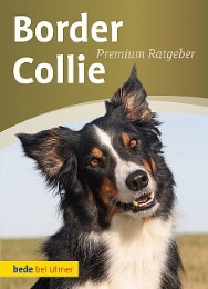 Border Collie - Cover