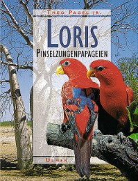 Loris - Cover