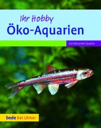 Öko-Aquarien