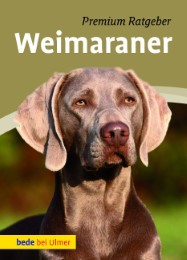 Weimaraner - Cover