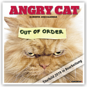 Angry Cat - Wütende Katze 2019