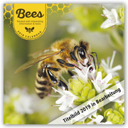 Bees - Bienen 2019