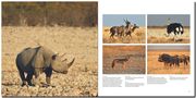 Namibia und Botswana - Wildnis Afrika - Abbildung 9