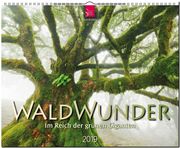 WaldWunder - Im Reich der grünen Giganten 2019