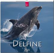 Delfine 2020 - Cover