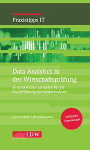 Data Analytics in der Wirtschaftsprüfung - Cover