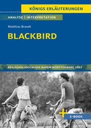Blackbird von Matthias Brandt - Cover