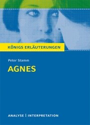 Agnes von Peter Stamm. Textanalyse und Interpretation mit ausführlicher Inhaltsangabe und Abituraufgaben mit Lösungen.