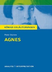Agnes von Peter Stamm. Königs Erläuterungen.