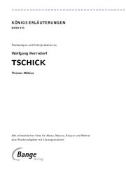 Tschick von Wolfgang Herrndorf - Textanalyse und Interpretation - Abbildung 9