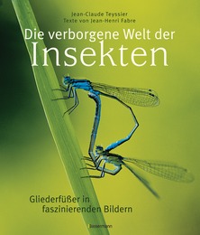 Die verborgene Welt der Insekten - Cover