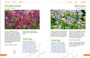 Die schönsten Pflanzen für Bienen und Hummeln u.v.a. nützliche Insekten. Für Garten, Balkon & Terrasse - Abbildung 2