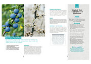 Wilde Ernte aus dem Wald - 40 essbare Pflanzen - einfache Bestimmung, kompaktes Wissen und leckere Rezepte - Abbildung 3