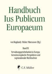 Handbuch Ius Publicum Europaeum IX