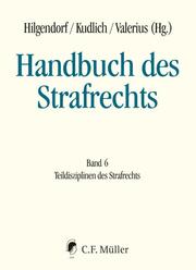 Handbuch des Strafrechts 6