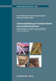 Schimmelpilzbildung bei Dachüberständen und an Holzkonstruktionen - Cover