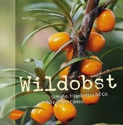 Wildobst - Cover