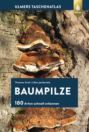 Baumpilze - Cover