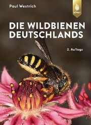 Die Wildbienen Deutschlands - Cover