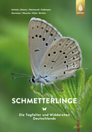 Schmetterlinge - Cover