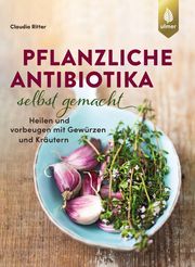 Pflanzliche Antibiotika selbst gemacht - Cover