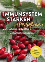 Immunsystem stärken mit Heilpflanzen aus Natur und Garten