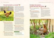Hühner - Abbildung 1