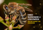 Auch Bienen haben Schweißfüße - Abbildung 2