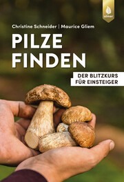 Pilze finden - Cover
