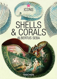 Shells & Corals
