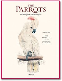 The Parrots/Die Papageien/Le Perroquets