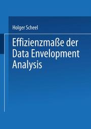 Effizienzmasse der Data Envelopment Analysis