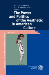 The Power and Politics of the Aesthetic in American Culture