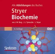 Die Grafiken des Buches 'Stryer Biochemie'