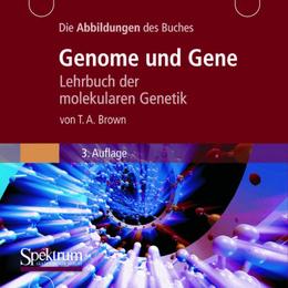 Die Abbildungen des Buches 'Genome und Gene'