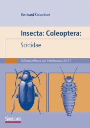 Insecta: Coleoptera: Scirtidae - Abbildung 1