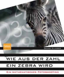 Wie aus der Zahl ein Zebra wird - Abbildung 1
