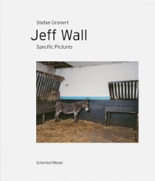 Jeff Wall - Specific Pictures