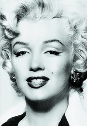 Silver Marilyn - Marilyn Monroe und die Kamera