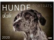 Hunde Porträts 2020 - Cover