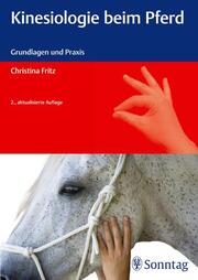 Kinesiologie beim Pferd