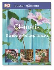 Clematis & andere Kletterpflanzen