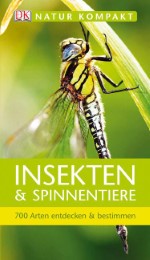 Insekten & Spinnentiere