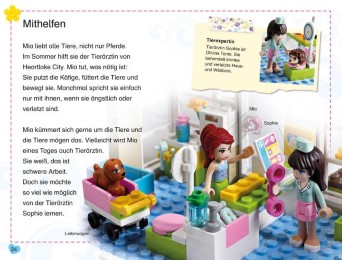 LEGO Friends Schatzkiste - Abbildung 1