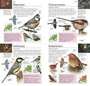 Gartenvögel beobachten und bestimmen - Abbildung 6
