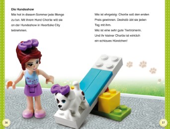 LEGO Friends: Ein Sommer voller Abenteuer - Abbildung 1
