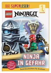 Lego Ninjago - Ninja in Gefahr