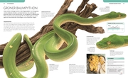 Schlangen - Abbildung 4
