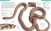 Schlangen - Abbildung 5